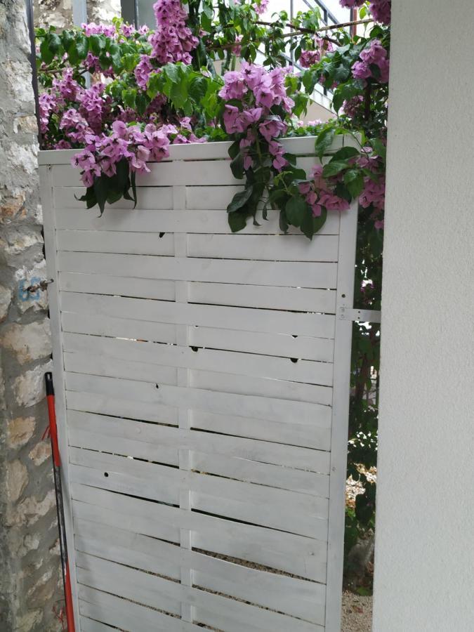 تروغير Studio Apartman Violeta II - 50M From The Beach المظهر الخارجي الصورة